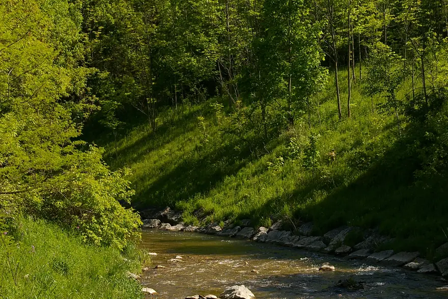 Oshawa Creek running through the city